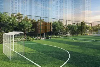 Football Court